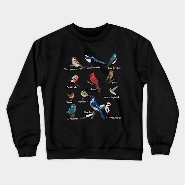 Garden Birds Cardinal Blue Jay Hummingbird Robin Wren Finch Crewneck Sweatshirt by jzbirds